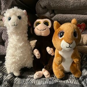 Ty Beanie Boo set of 3. Lily, Mateo & Squire